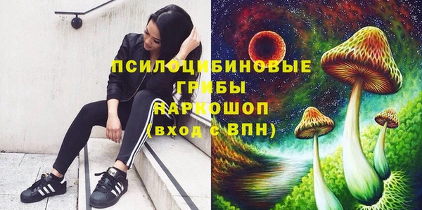 наркотики Алексин