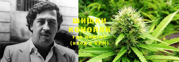 твердый Алзамай