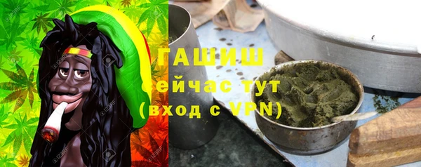 твердый Алзамай