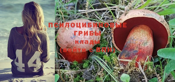 твердый Алзамай