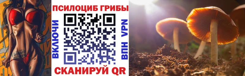 Галлюциногенные грибы Cubensis Лермонтов